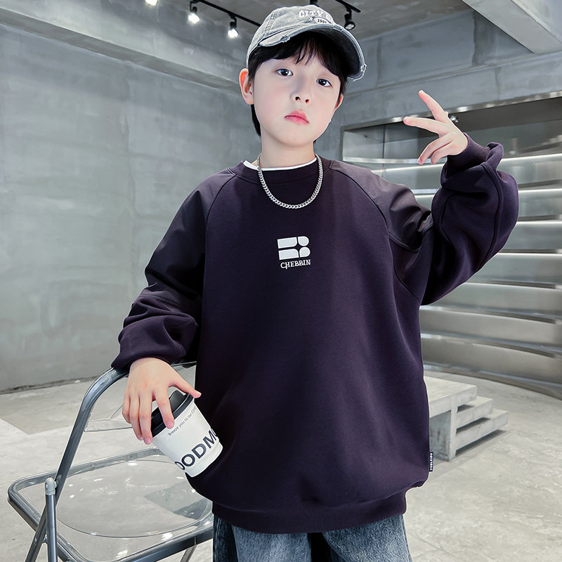 男孩春秋款圆领卫衣2026新款痞帅中大童春装打底衫儿童装男童衣服