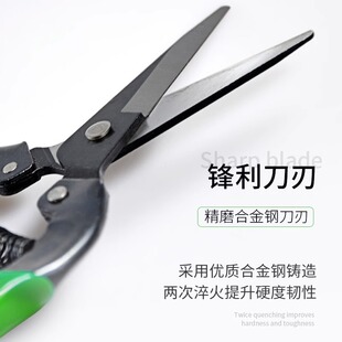 大吉柑橘采果剪子脐橙苹果葡萄剪刀果蔬采摘修枝剪花卉园艺园林剪