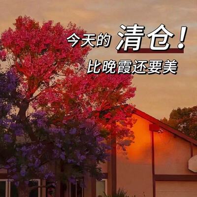 捡漏白菜价彩妆合集眼影眼线口红