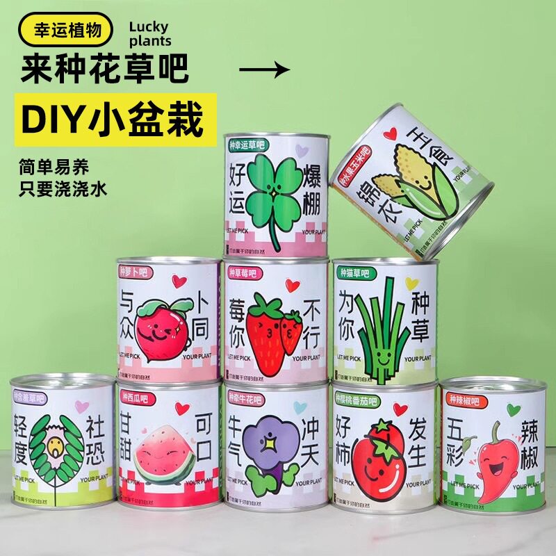种植罐头易拉罐小盆栽儿童绿植桌面迷你种子盆栽学生节日小礼品