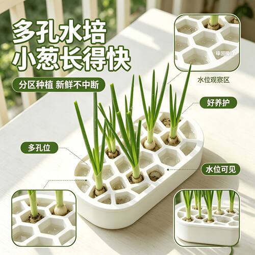 水培葱花再生种植免养护简易培育盒阳台窗台家用香葱快速收割神器