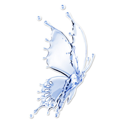 pvc材质小贴蝴蝶卡通汽车贴纸