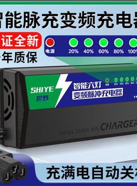 电动车电瓶充电器48V60V72V96V20AH两三轮车品牌通用铅酸电池适用