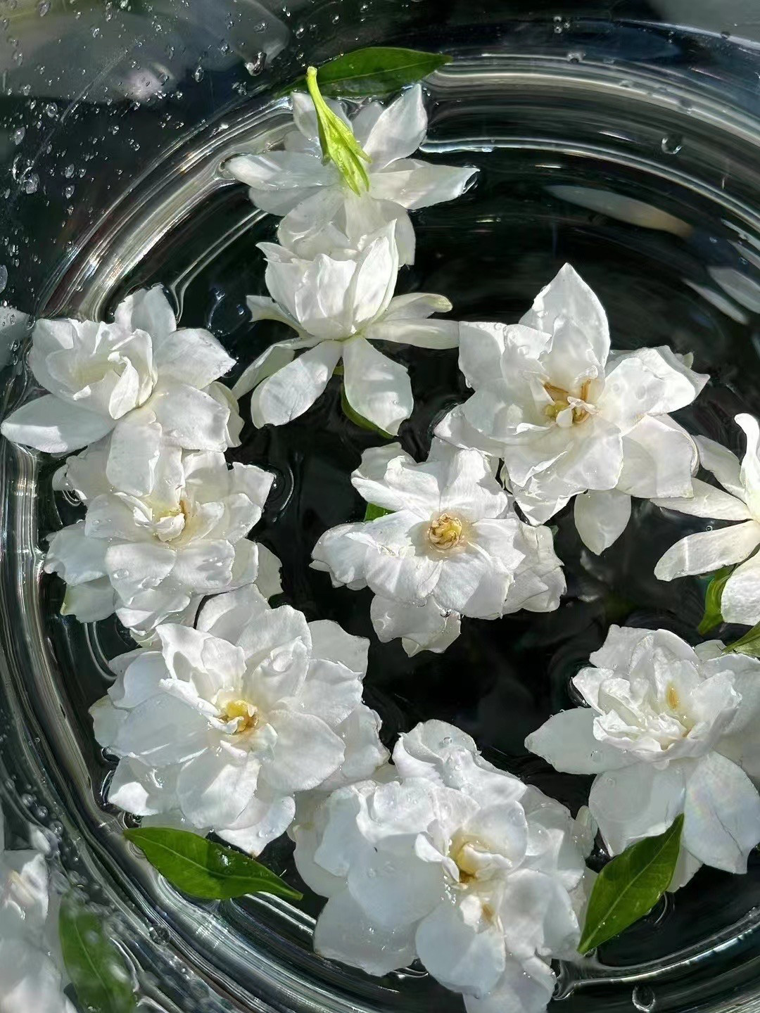 云朵艾杨栀子花纯露爽肤水护肤水保湿补水焕亮滋润爽肤水湿敷水