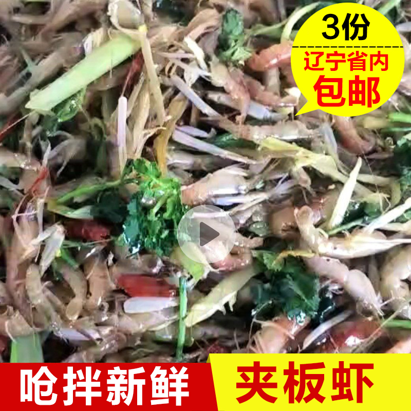 大连庄河特产新鲜炝拌夹板虾 生腌嘎嘣虾 嘎巴虾 鼓虾小海虾500g