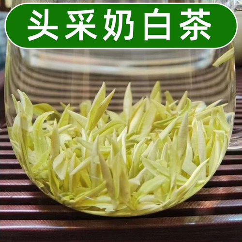 2026新茶【熊猫奶白茶】特级奶白茶黄金芽奶香安吉白茶罐装礼盒装