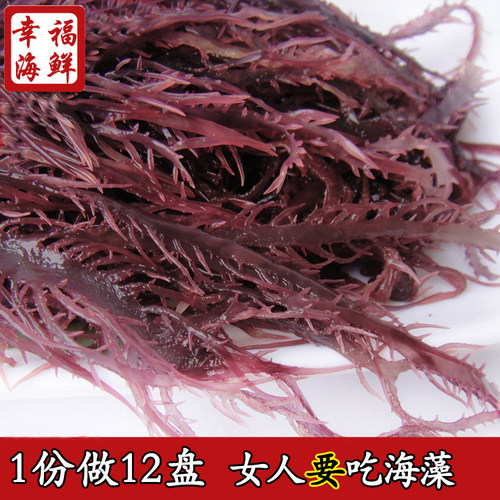 紫晶海藻价格 紫晶海藻图片 星期三
