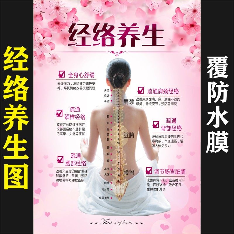 中医经络养生挂图美容院针灸海报图片