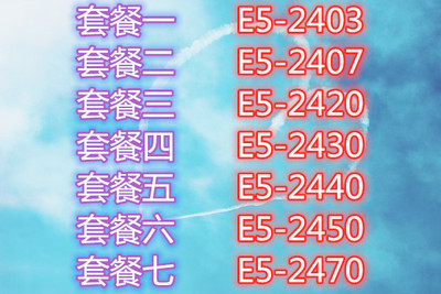 IntelE5-240324072430CPU