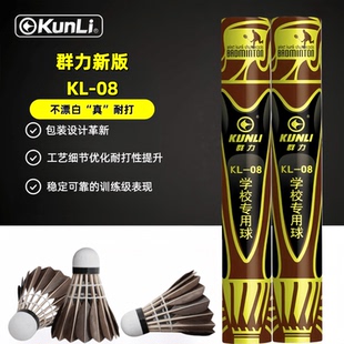 群力新版KL-08耐打室内外飞行黑色稳定鹅毛训练比赛羽毛用球