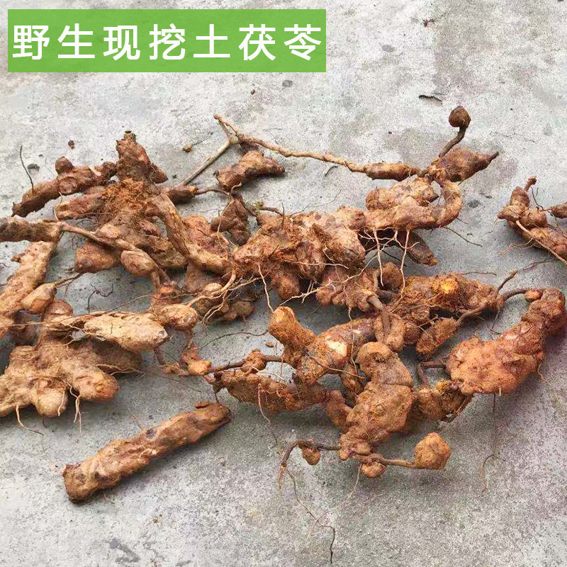 农家自采野生新鲜土茯苓煲汤食材中药材土伏苓冷饭团红土苓硬板头
