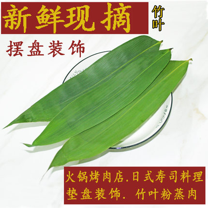 新鲜现摘竹叶摆盘装饰火锅烧烤日本料理刺身装饰草寿司装饰小粽叶