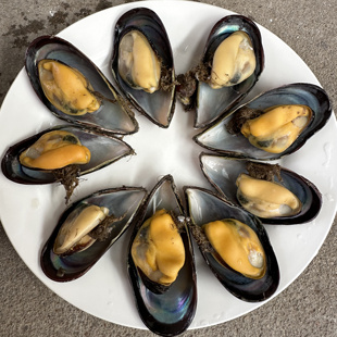 新鲜青口贝鲜活特大海虹淡菜贻贝海鲜水产贝类海红海味