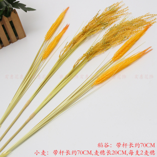 仿真蔬菜水果模型家居装饰拍摄造景布置丰收枯熟水稻谷穗小麦道具