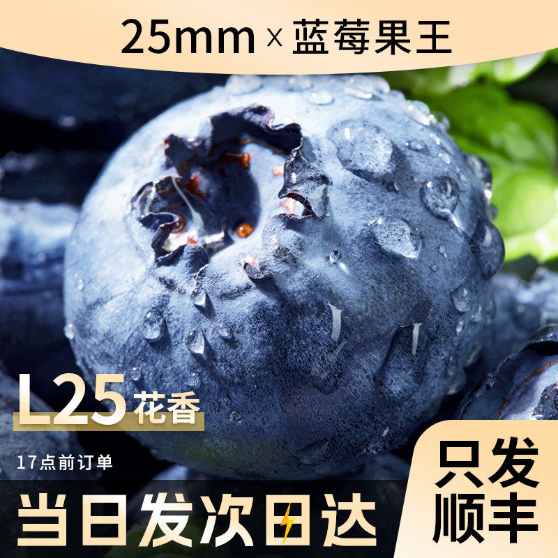 云南蓝莓新鲜水果当季蓝梅鲜果现摘高山怡颗孕妇大果整箱顺丰包邮,水产肉类/新鲜蔬果/熟食,蓝莓,淘宝优惠券,粉丝福利购,淘宝优惠卷
