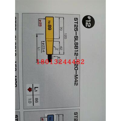 ST25-SLSB10-M42日本恩司