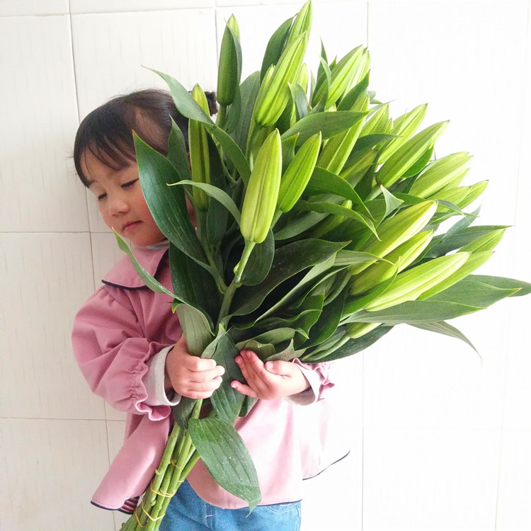云南昆明多头百合花鲜花直批搭配花束拼团母亲节家用插花基地直发