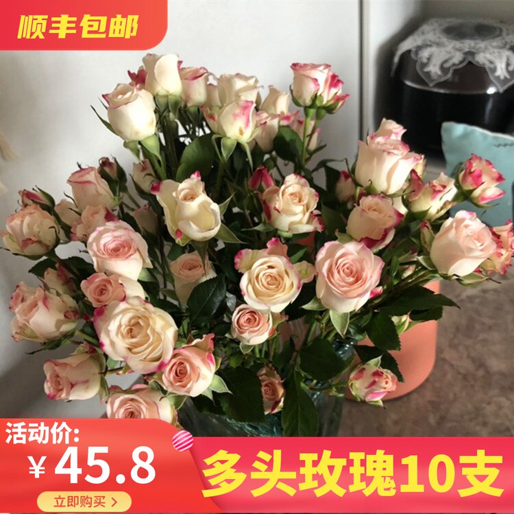 多头玫瑰蔷薇玫瑰花多少钱 多头玫瑰蔷薇玫瑰花优惠券免费领取 有条鱼