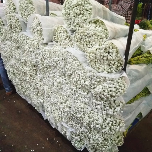 满天星鲜花后备箱礼物求婚婚礼用