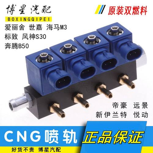 爱丽舍世嘉标致奔腾风神帝豪远景伊兰特悦动CNG燃气OMVL喷轨气嘴
