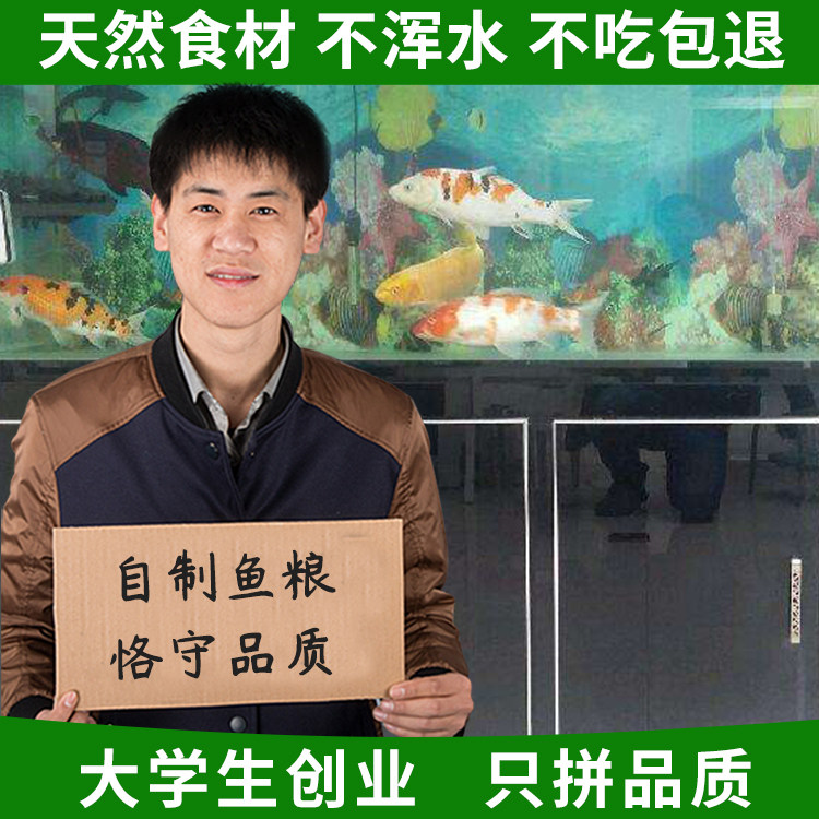 自制鱼食锦鲤鱼食金鱼饲料锦鲤专用饲料鱼食不浑水散装鱼食小型鱼