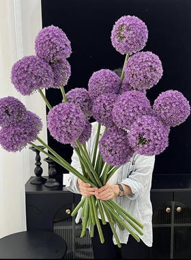 紫色大葱花花葱水培鲜花A级云南进口长花期特色花材插花顺丰包邮
