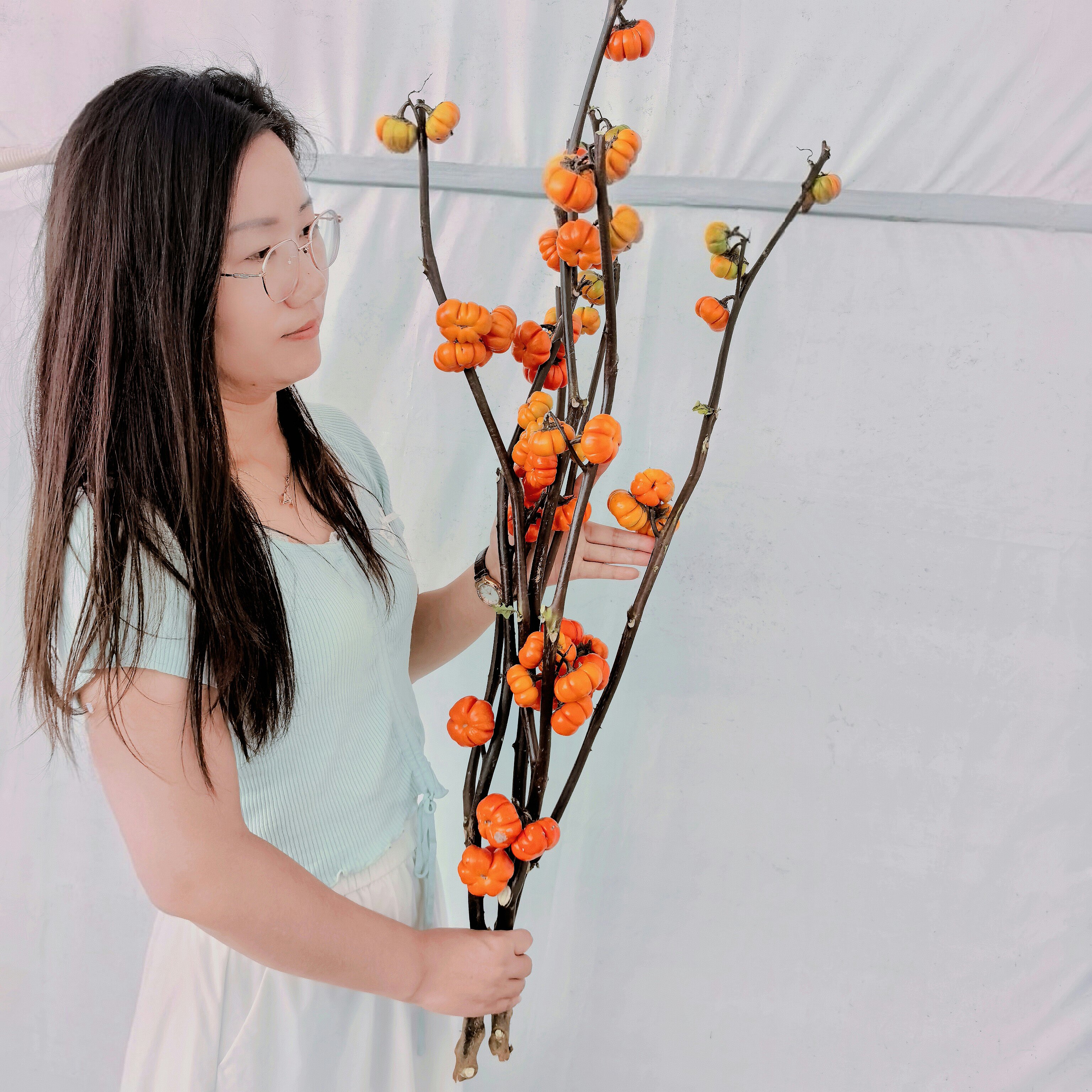 【A级小南瓜鲜花】新鲜小南瓜鲜花水养客厅插花橙色橘色新鲜大果