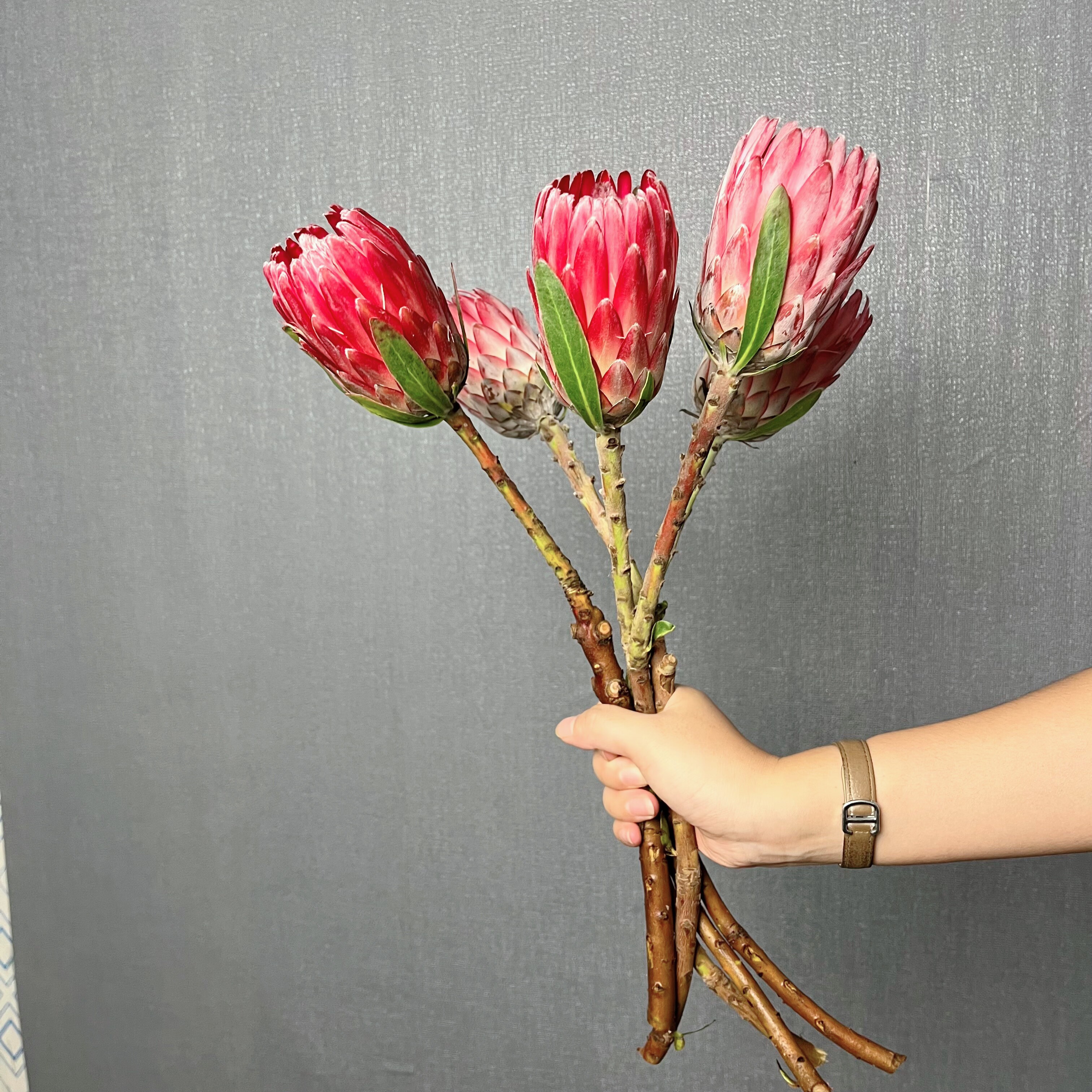 新鲜A级公主鲜花水培水养客厅插花可做干花永生花装饰桌面摆件