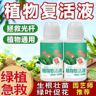 通用型植物花卉复活液针对光杆植物发黄掉叶生长素快速增强活性