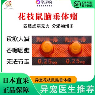 日本花枝鼠脑垂体瘤卡麦后肢虚弱四肢无力肿瘤囊肿分泌物吞咽困难
