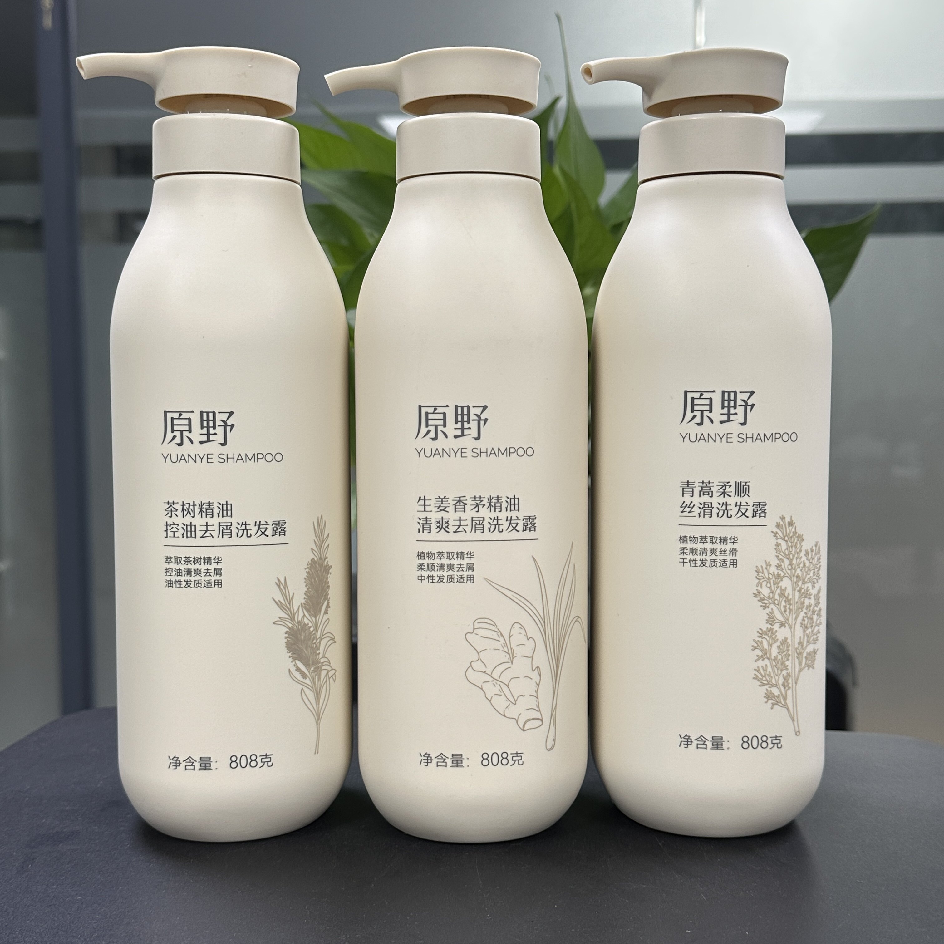原野茶树去屑控油清爽柔顺洗发水