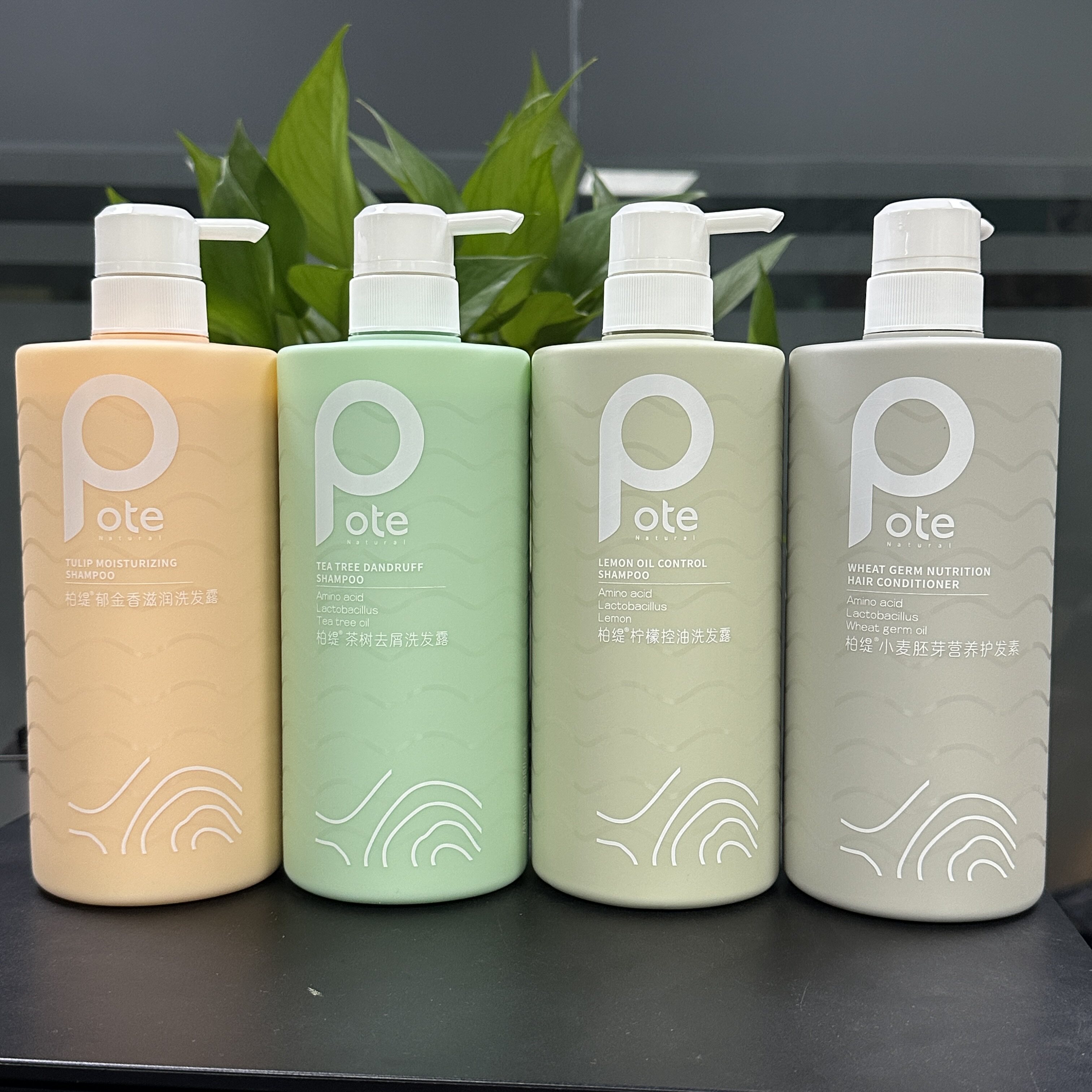 pote柏缇茶树去屑洗发水清爽清洁头皮止痒控油持久留香洗发露男女