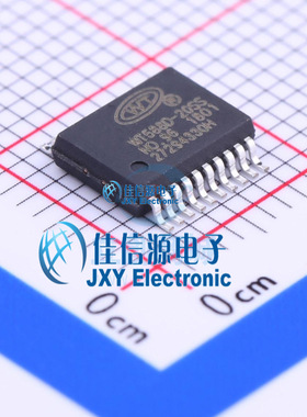 WT588D-20SS  WT(唯创)  SSOP-20_208mil