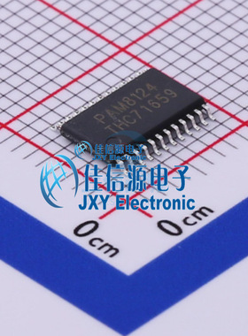 PAM8124RHR  DIODES(美台)  TSSOP24 EP