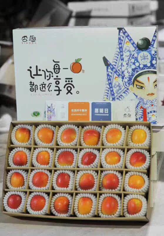 杏趣崂山蜜杏 觅秋让你每一果都这么享受4-4.5斤20或24个甜蜜爆汁|ruв категории водной мясо/свежие фрукты и овощи/еда, свежие фрукты, другие - от Buy2taobao.com для оказания профессиональной услуги покупки агента Taobao