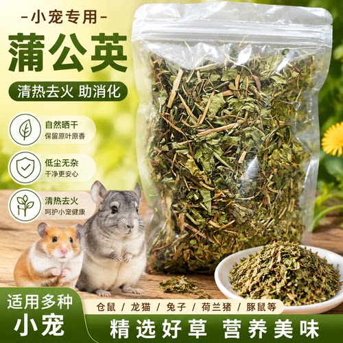 小宠蒲公英黄瓜干金丝黄菊清热去火花草仓鼠金丝熊花枝鼠零食专用
