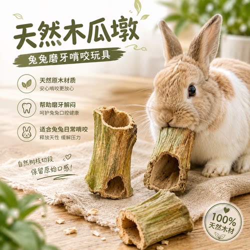 兔子磨牙木瓜墩果树咬咬啃咬