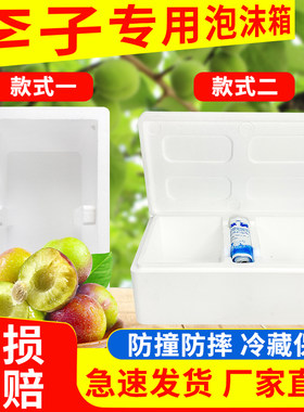 李子包装箱蜂糖李泡沫箱杨梅箱