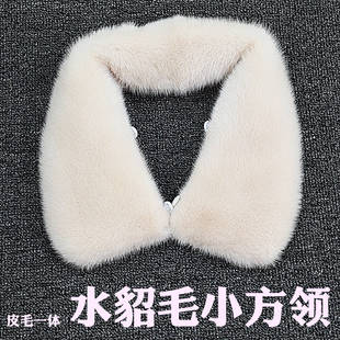 进口水貂毛领子单卖真毛整皮小翻领皮衣尼克服小方领男女通用