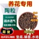 陶粒球花盆垫底园艺陶土水培无土栽营养颗粒多肉种植养花铺面