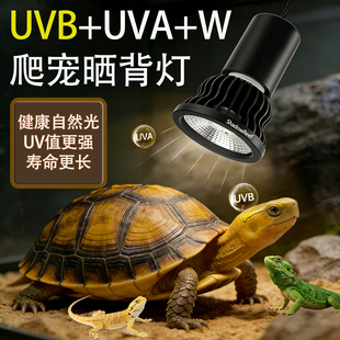爬宠乌龟晒背灯UVB灯全光谱UVA二合一龟缸专用补钙灯保温灯