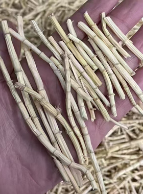 长条白茅根去皮毛根白甜草根茅草根白茅草茶搭配海底椰芦根无花果