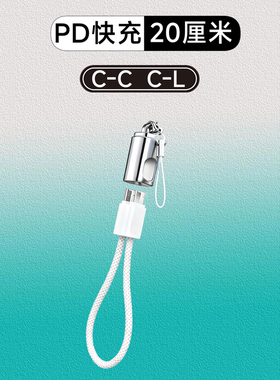 白色挂绳充电数据线Typec移动电源快充线USB-C充电宝短线PD快充27W60W适用于iPhone17161514132华为vivo oppo