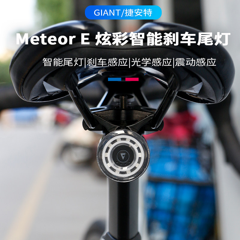 捷安特山地公路自行车尾灯USB