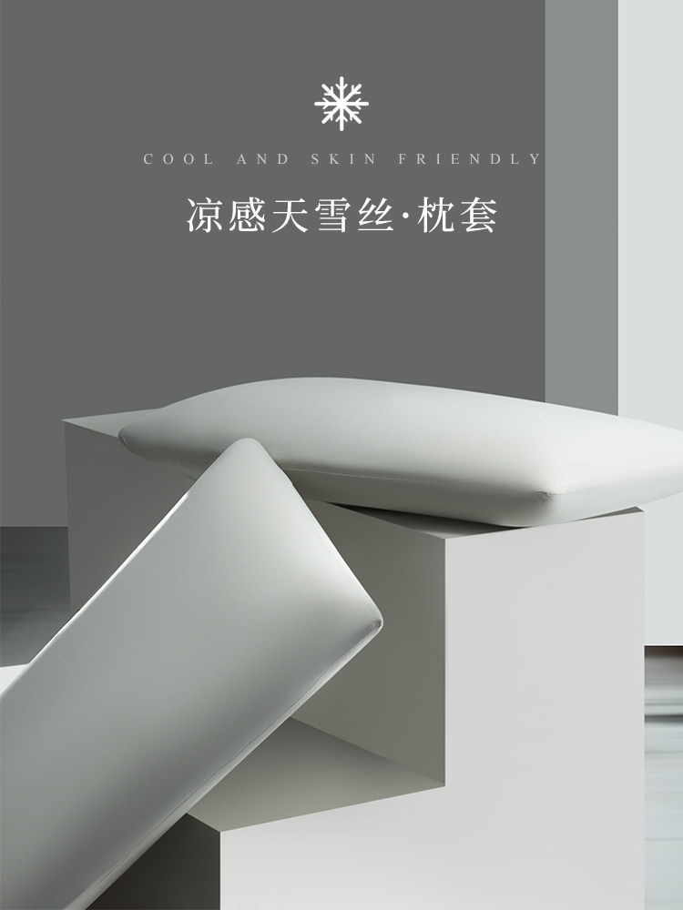 2025新天学真丝枕套对夏季冰真丝清凉感觉枕头套家庭单品48Cmx74M