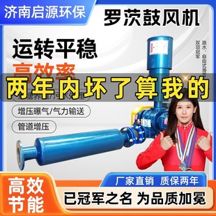 三叶罗茨鼓风机污水处理水产养殖气力输送鱼塘增氧罗茨风机增氧机
