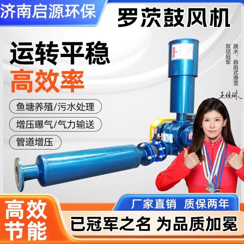 三叶罗茨鼓风机污水处理水产养殖气力输送鱼塘增氧罗茨风机增氧机