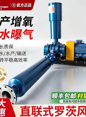 罗茨鼓风机高密度水产养殖