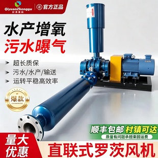 直联式三叶罗茨鼓风机污水处理气力输送曝气增氧变频调速罗茨风机