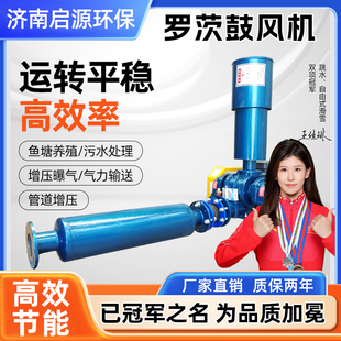 罗茨鼓风机污水处理高密度水产养殖曝气增氧气力输送罗茨鼓风机